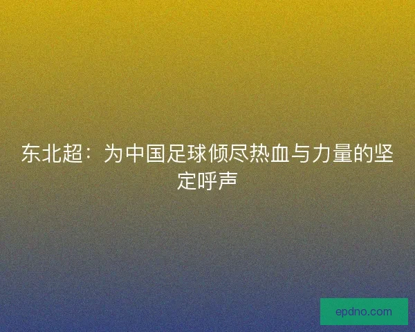 东北超:为中国足球倾尽热血与力量的坚定呼声 东北超:为中国足球倾尽热血与力量的坚定呼声